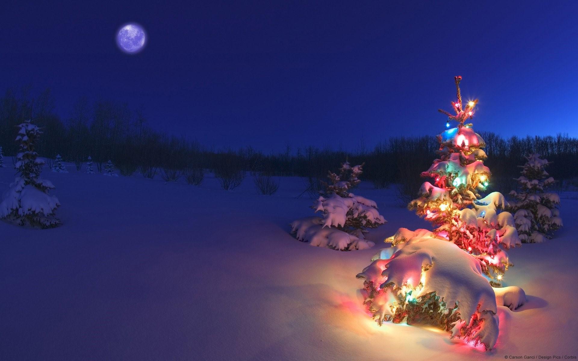 Christmas tree with lights at the North Pole Wallpaper Full