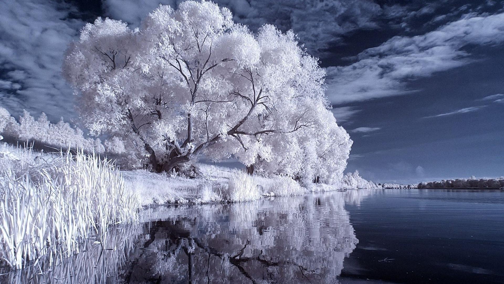 Photography Infrared 4k Wallpaper HD Nature 4K Wallpapers Images and  Background  Wallpapers Den