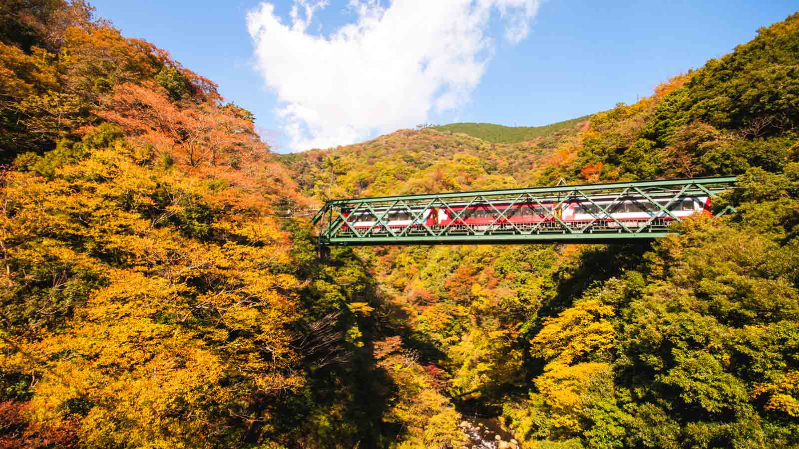 Autumn Colors in Hakone: 7 Places to Admire Fall in all its