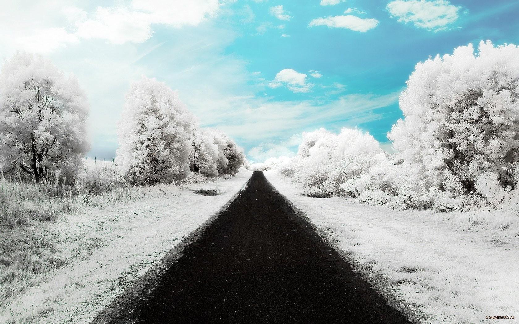 Infrared Winter Wallpapers - Wallpaper Cave