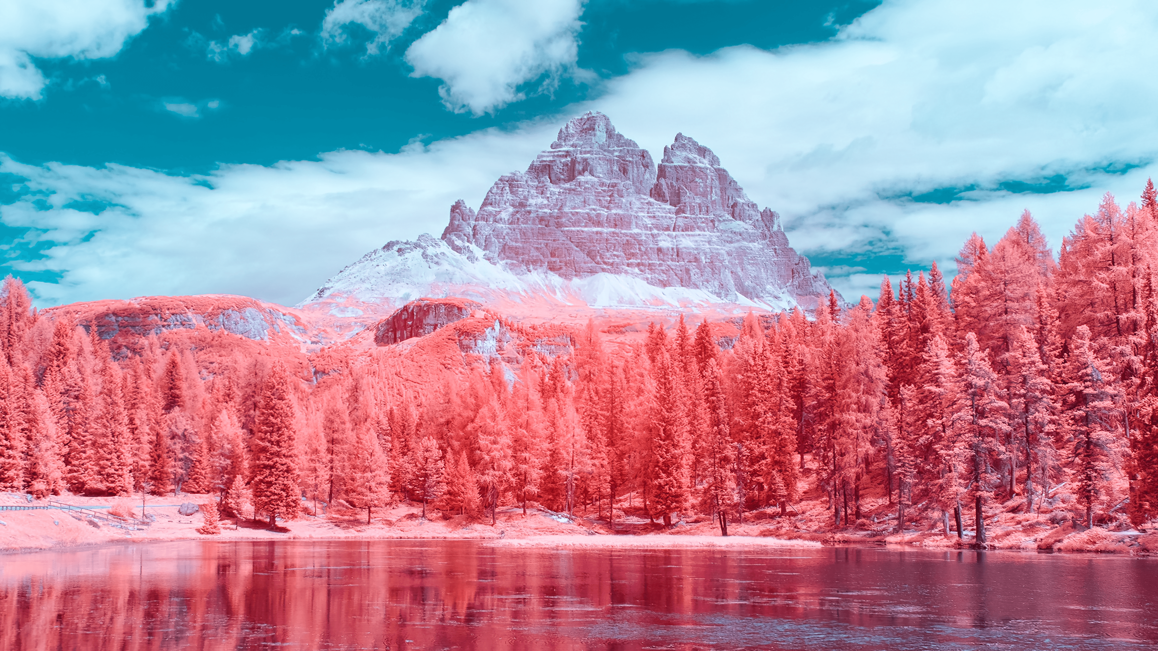 Infrared Winter Wallpapers - Wallpaper Cave