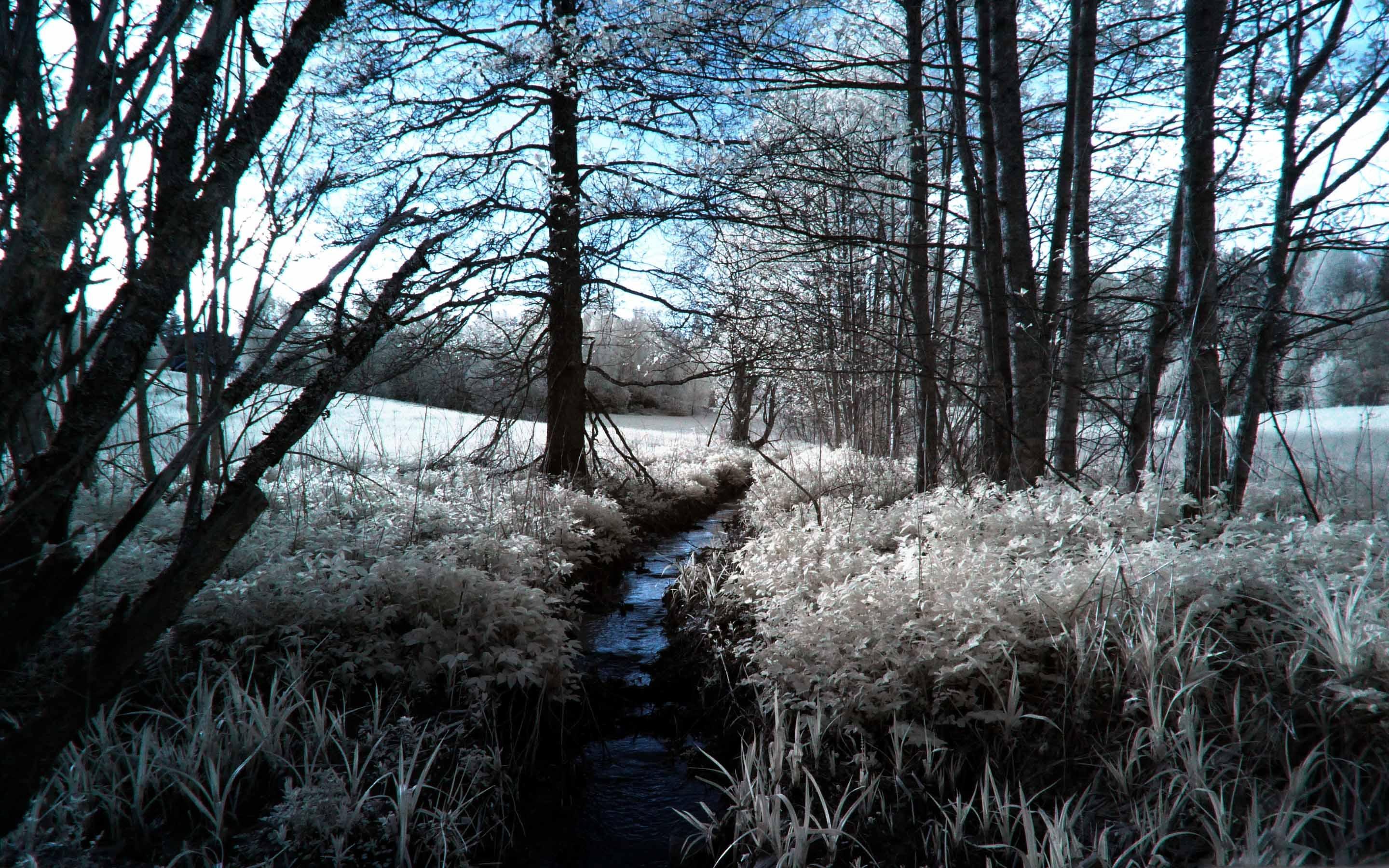 Infrared Winter Wallpapers - Wallpaper Cave