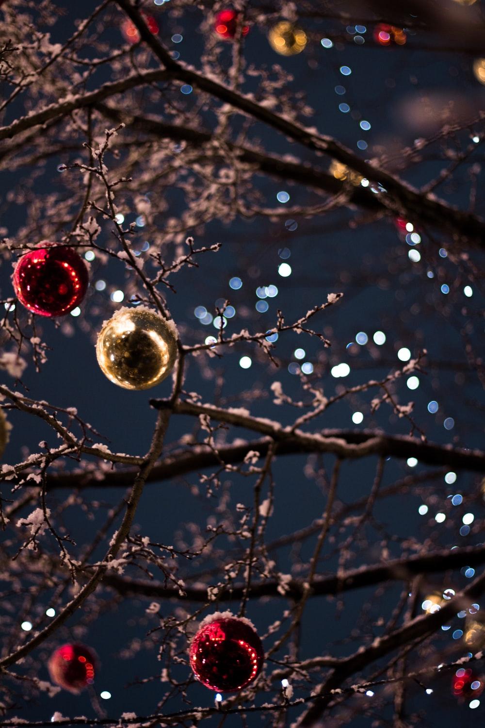 selective focus photography of baubles photo