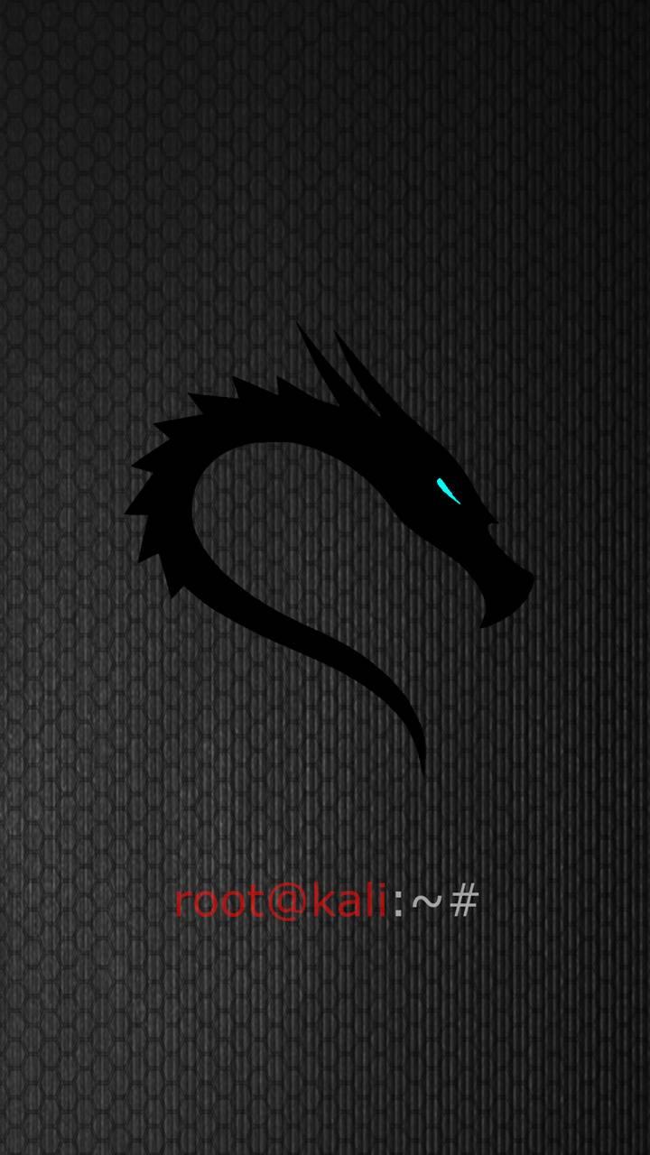 Kali Linux Wallpaper 4k
