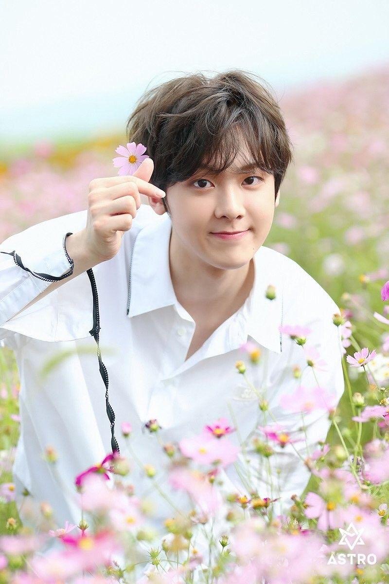 Sanha ASTRO. Astro wallpaper, Astro fandom name