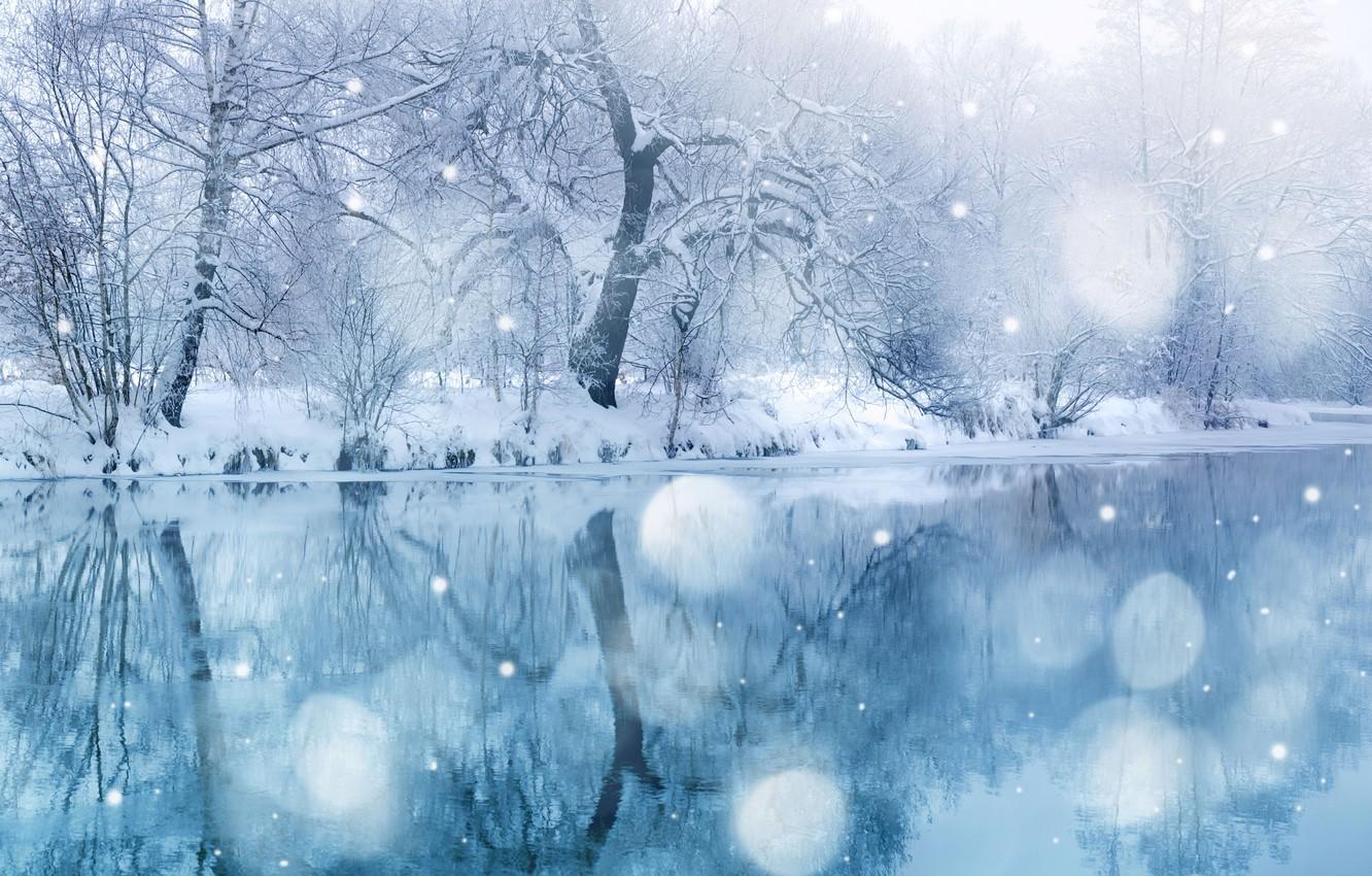 Wallpaper winter, trees, landscape, tale, snowfall, Winter