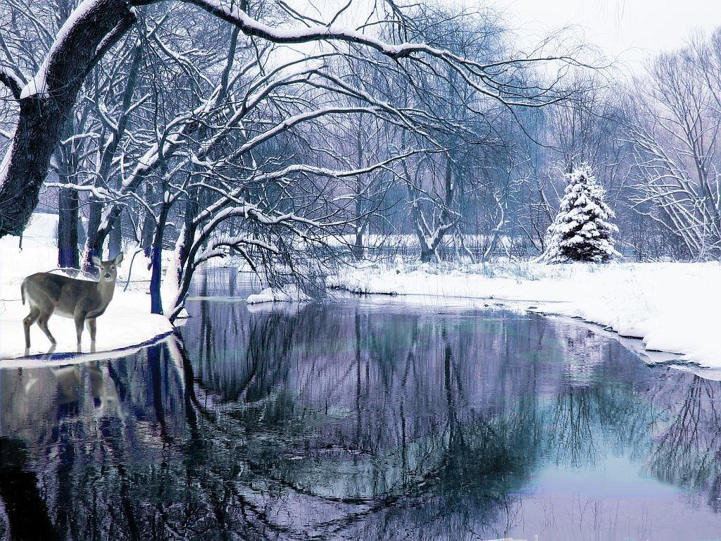 Winter Scenes Background