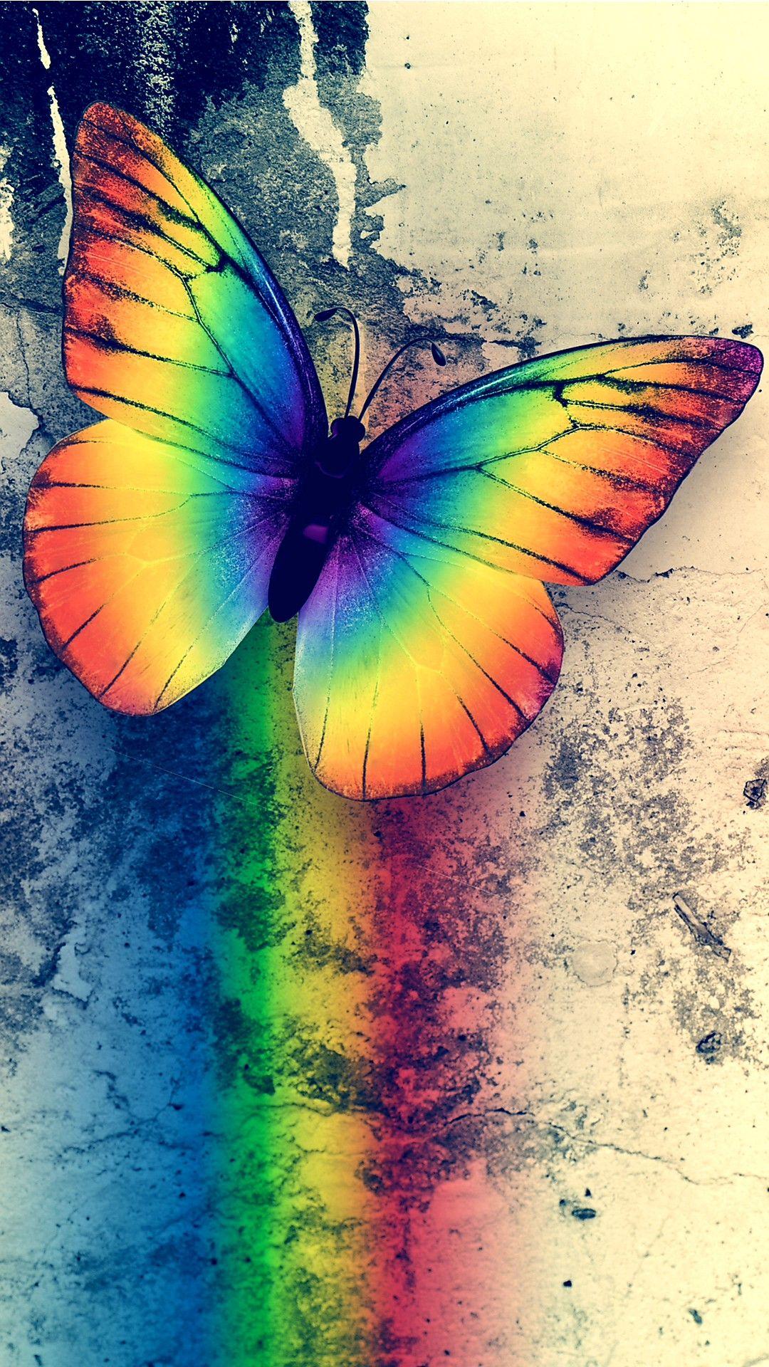 Rainbow Butterfly wallpapers  Rainbow Butterfly stock photos