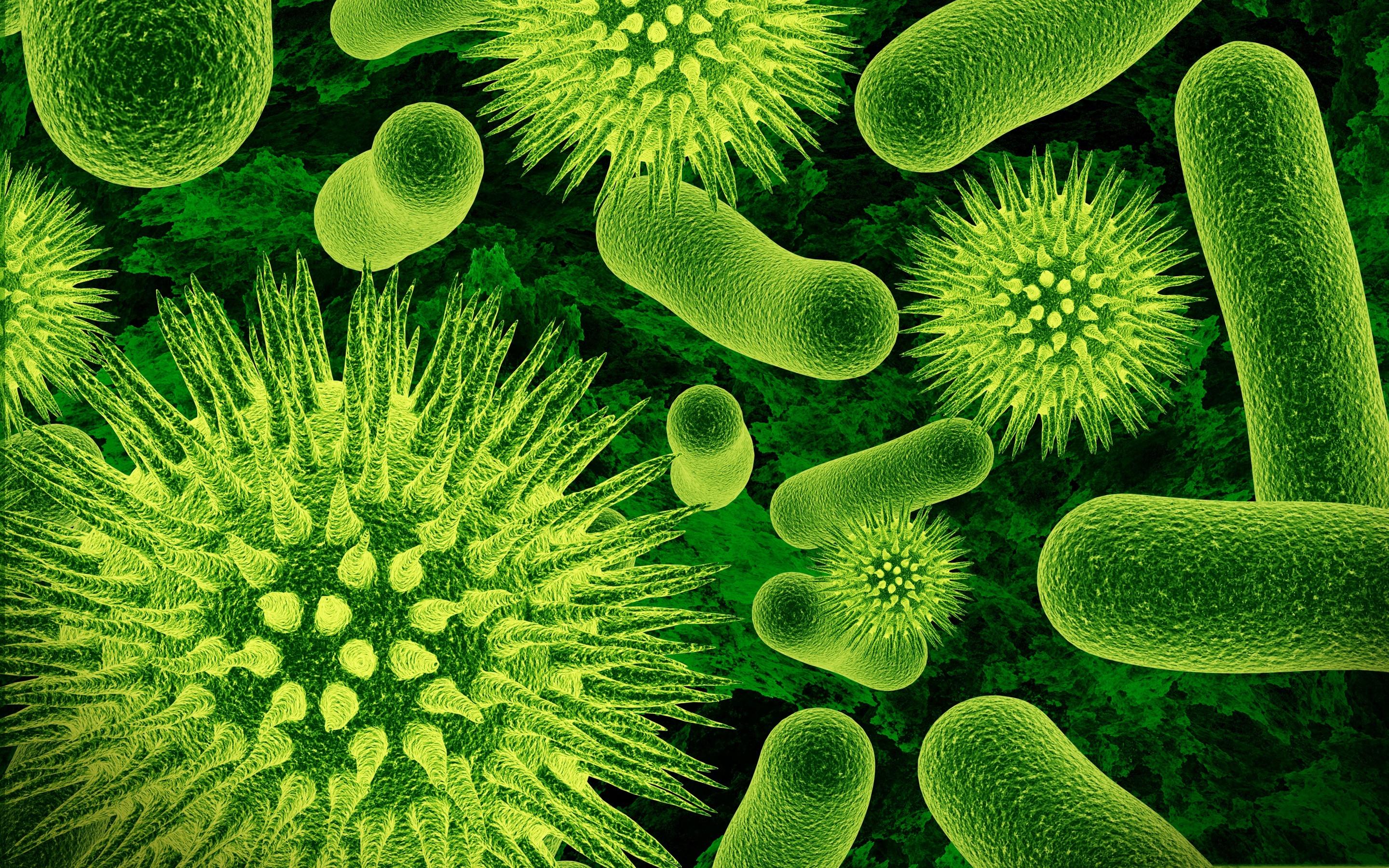 Download wallpaper bacteria, microscope, green