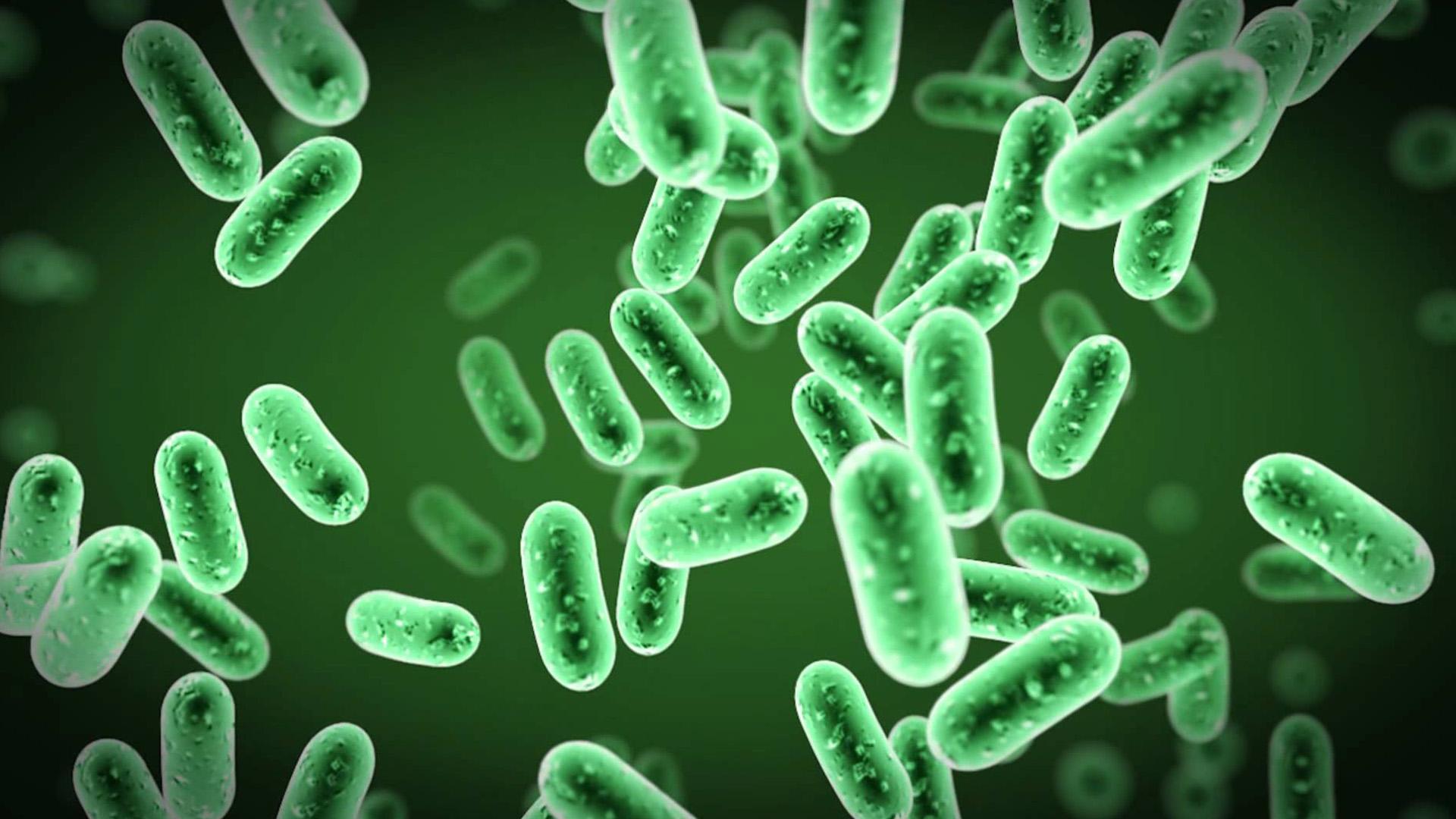 Microbes Wallpaper. Microbes