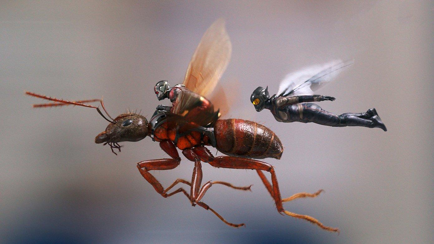 Best Ant Man And The Wasp Wallpaper HD