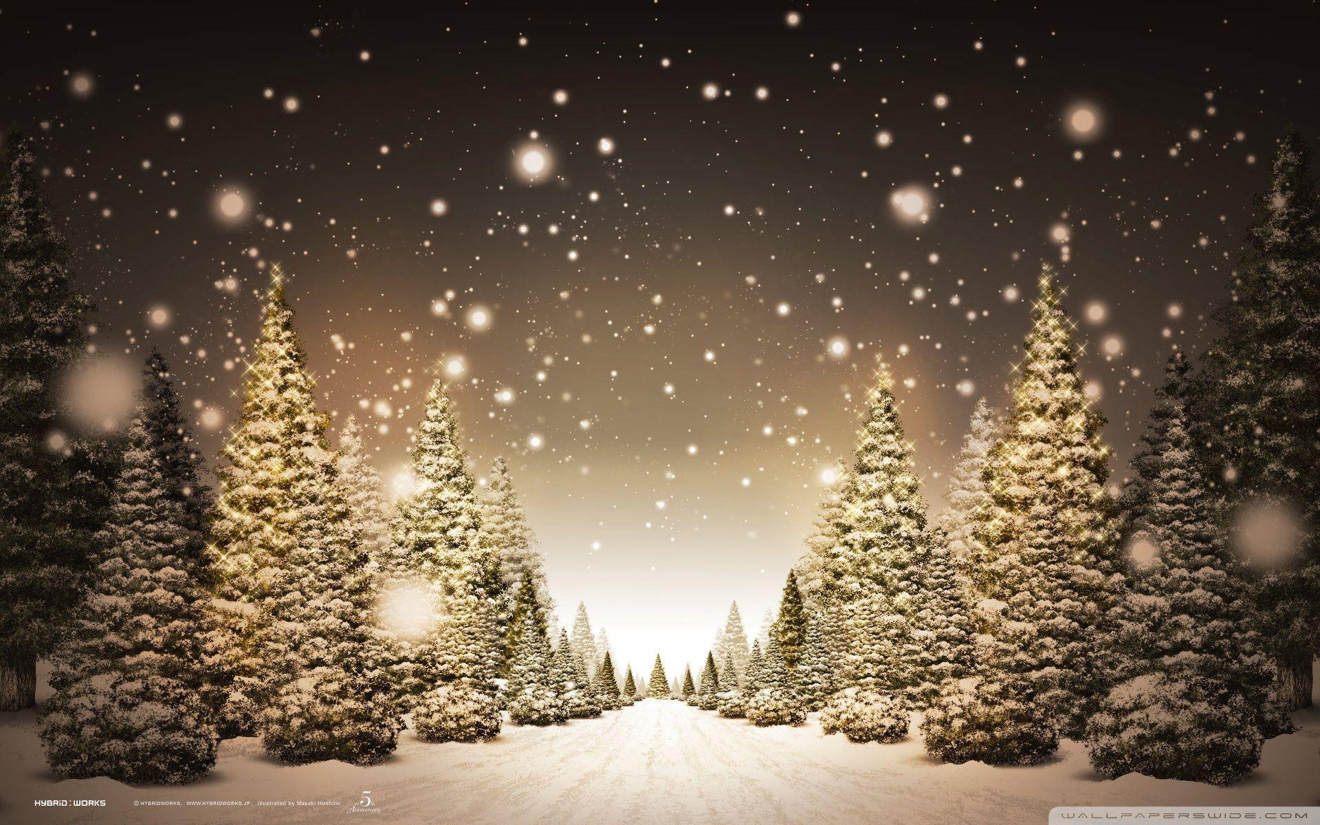 Forest Christmas Wallpaper Free Forest Christmas Background