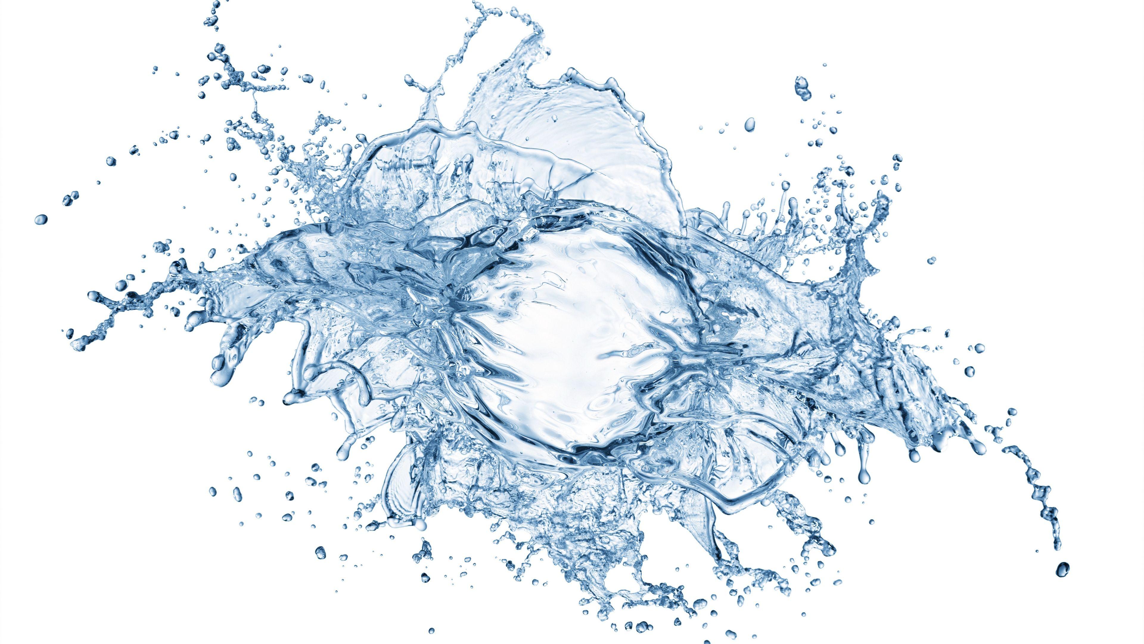 water, splash, abstract, white background 4k Water, Splash
