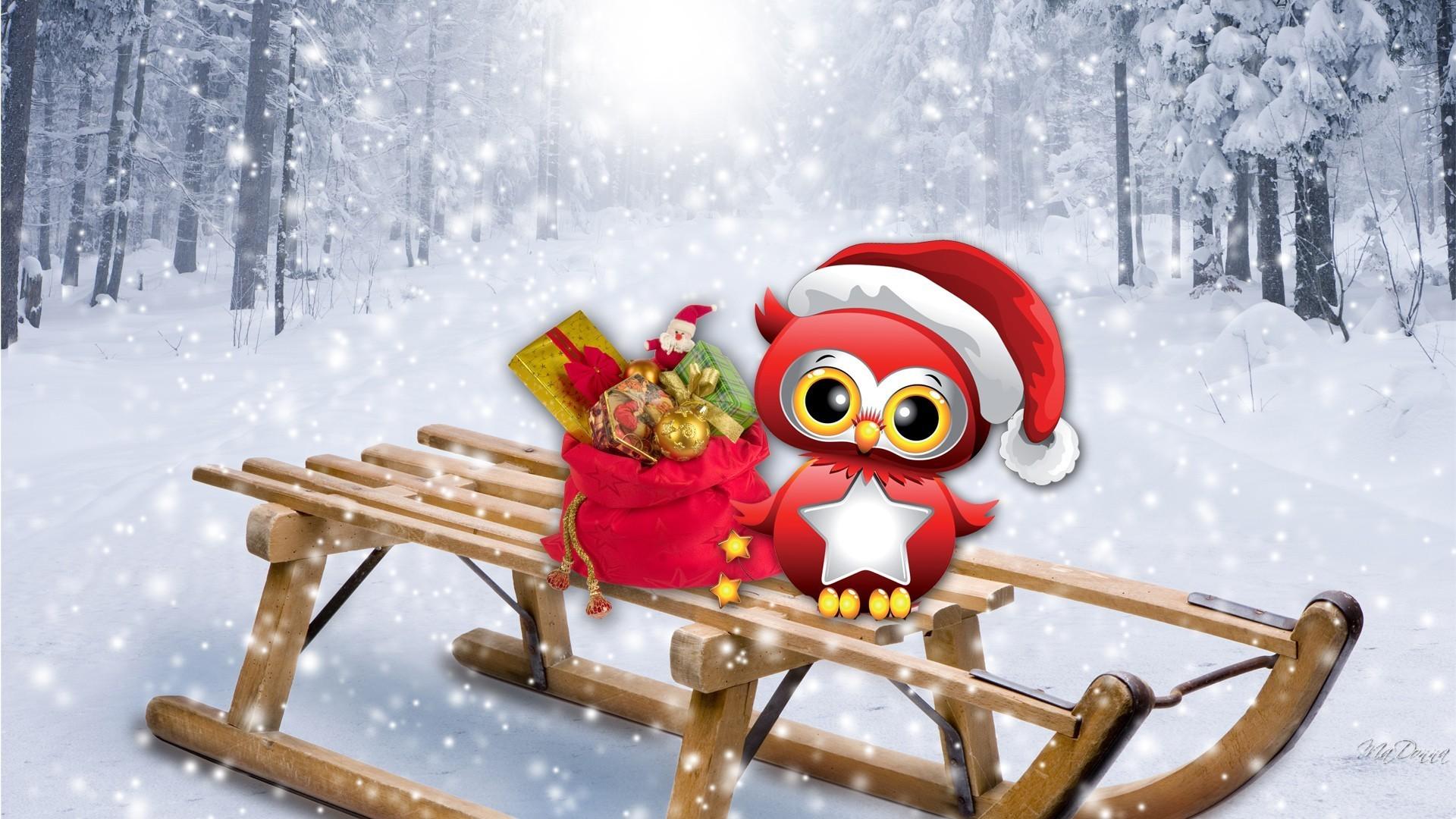 Owl Christmas Wallpaper