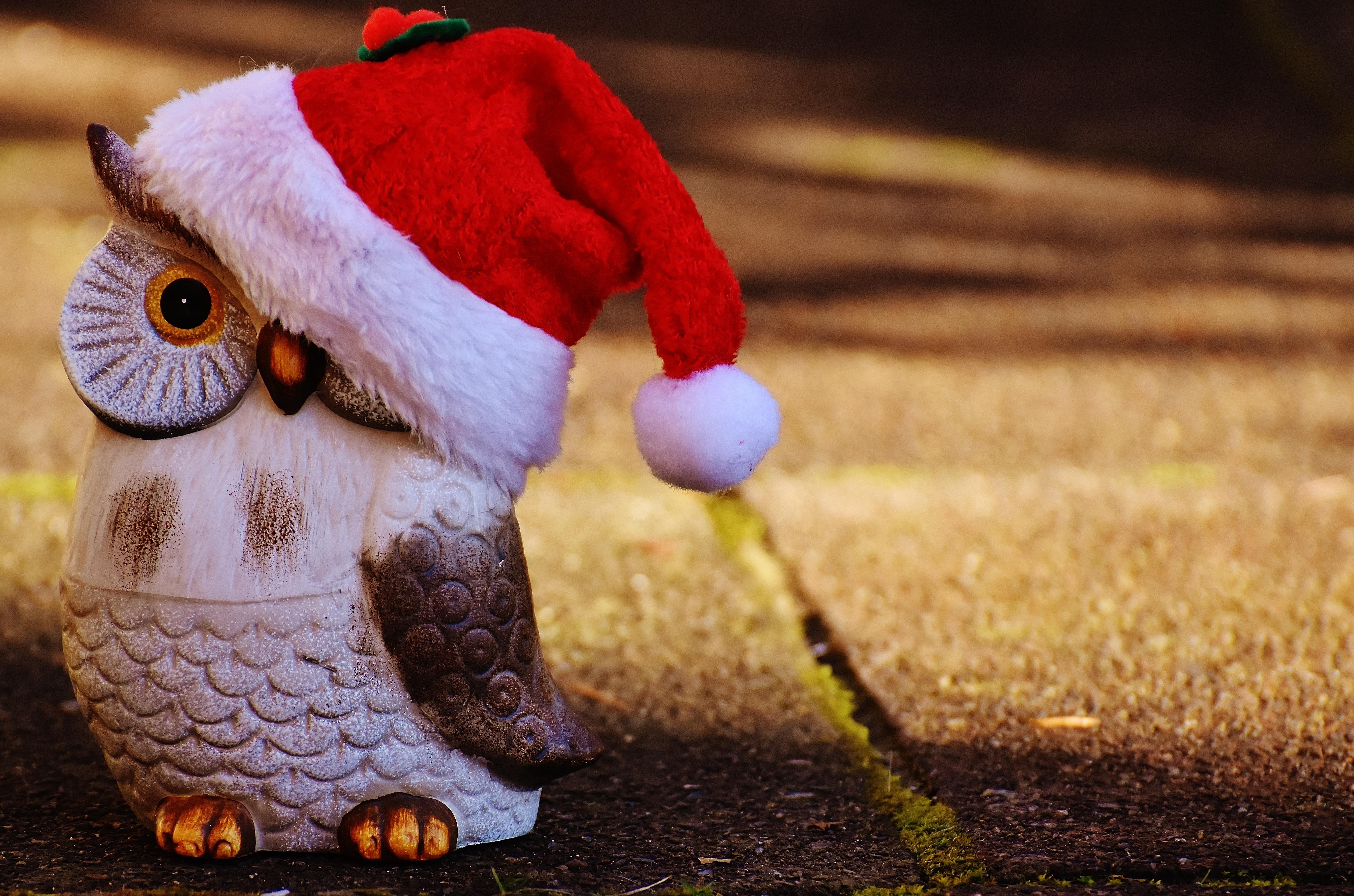 Owl Santa Wallpapers - Wallpaper Cave