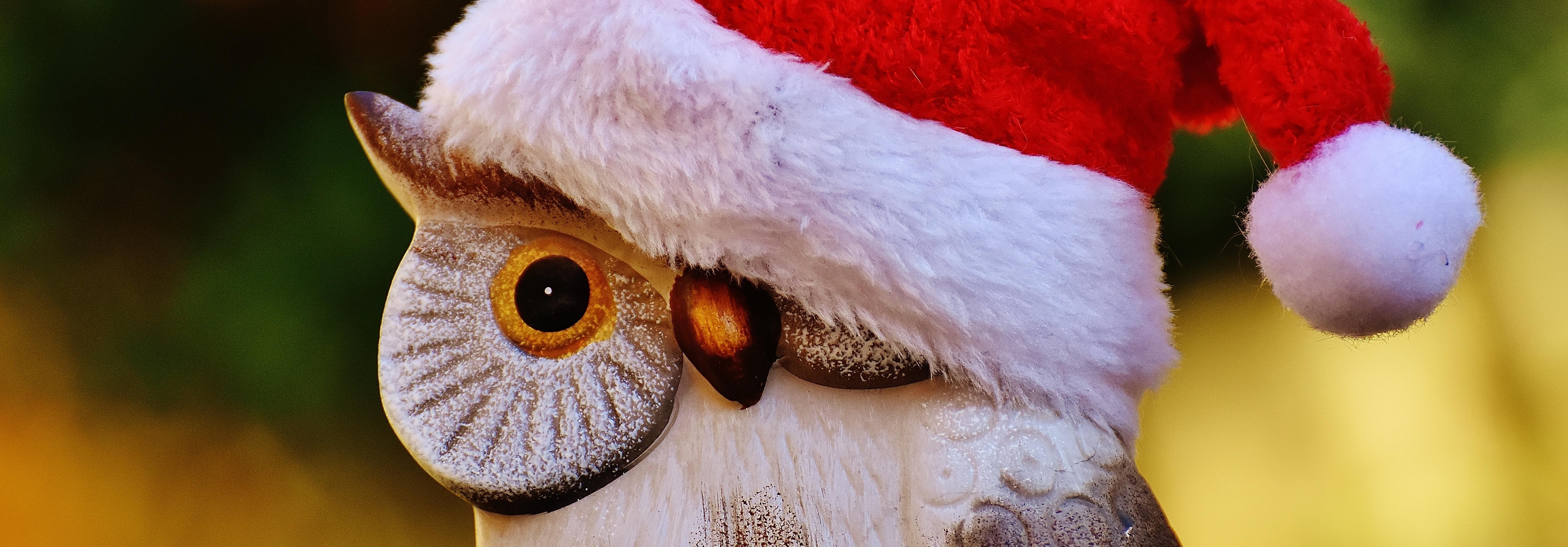 Owl Santa Wallpapers - Wallpaper Cave