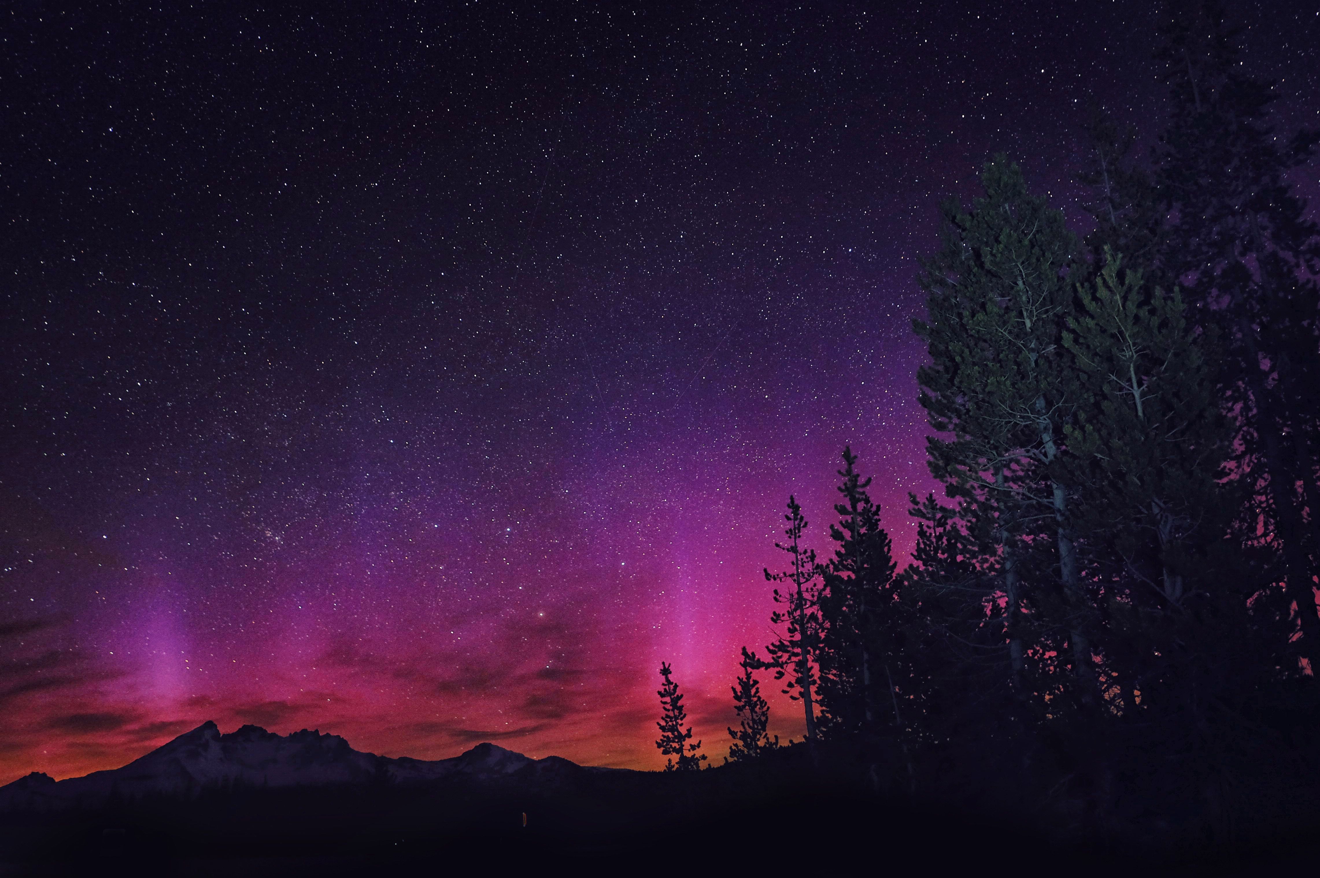Northern Lights Pink Wallpaper