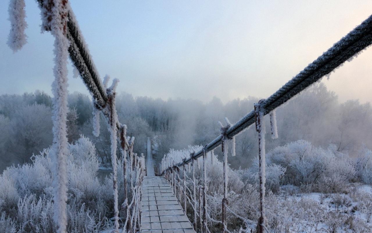 Frozen Bridge & Winter Trees wallpaper. Frozen Bridge & Winter