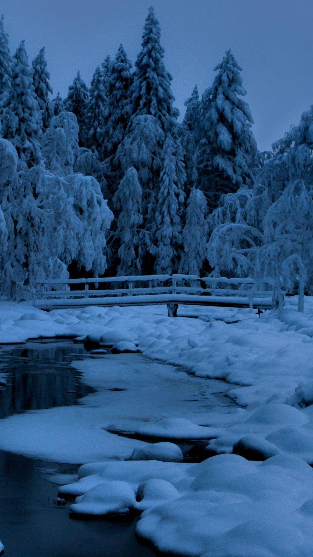 Frozen Bridge Over Lake Forest Snow Android Wallpaper free