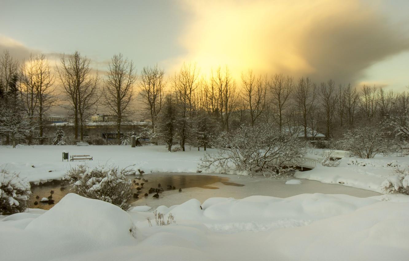 Wallpaper ice, twilight, river, trees, bridge, sunset