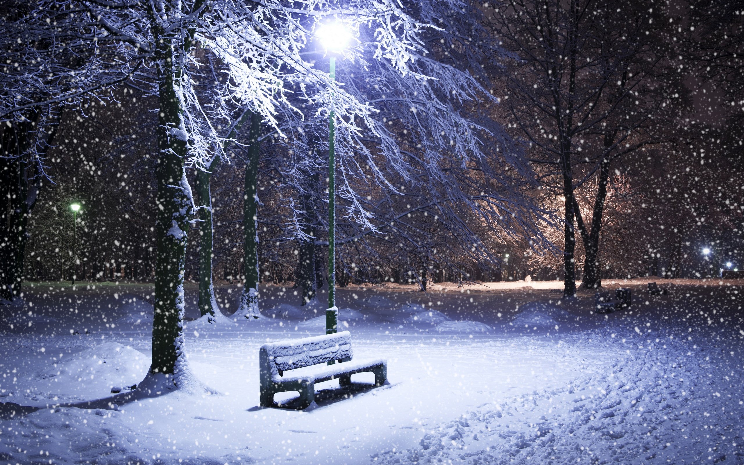 Winter Wallpapers its snowing at night park bench