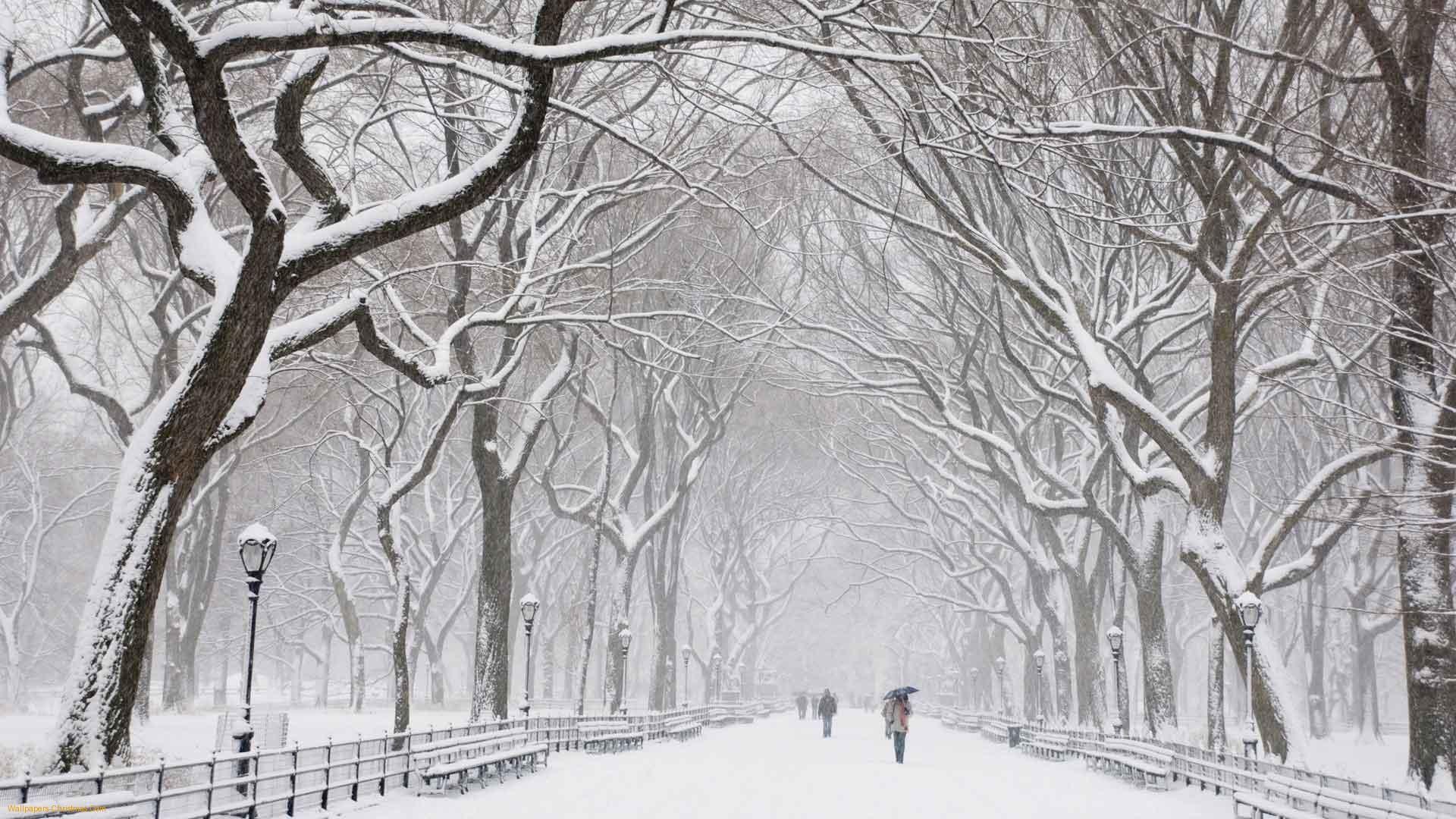Christmas Day in Central Park. Winter wallpaper, Snow