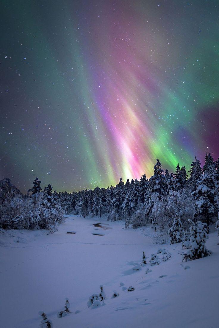 Northern lights. Winter scenery, Winter landscape, Nature