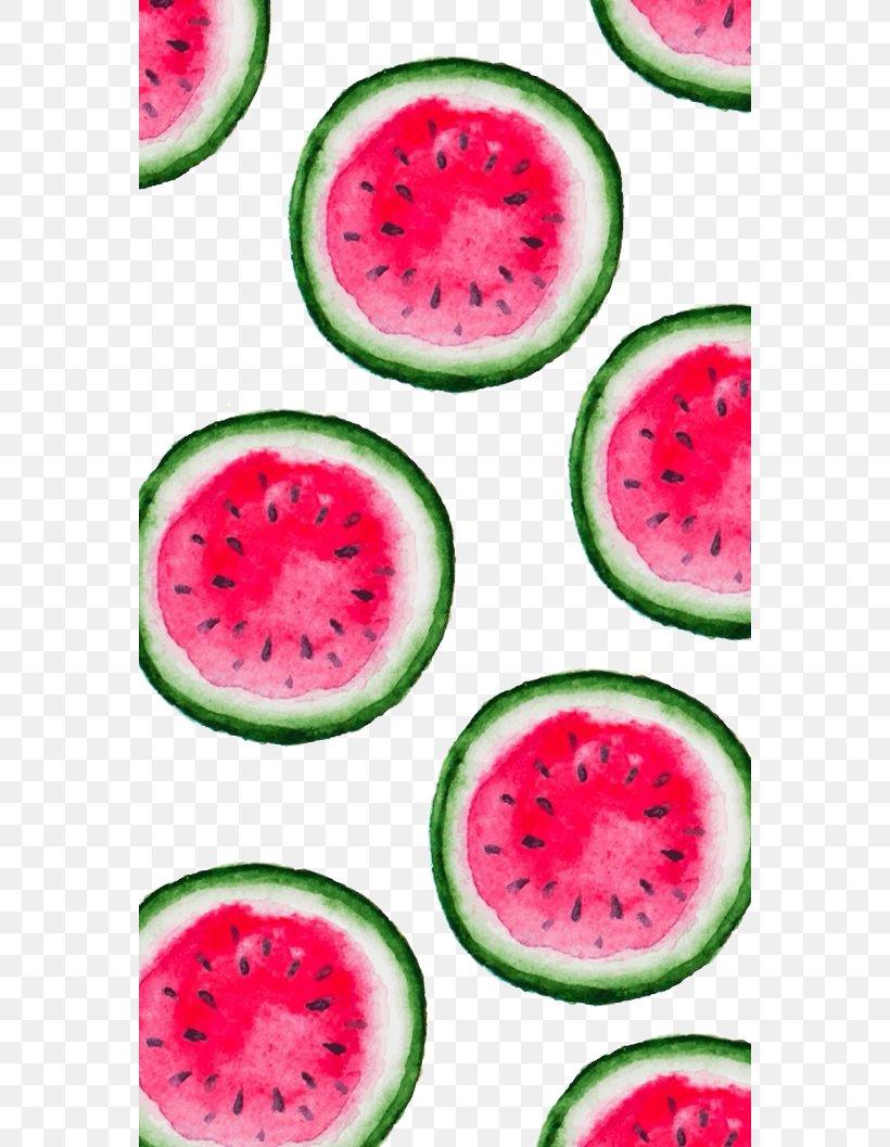 IPhone X Summer Fruit Wallpaper, PNG, 564x1057px, iPhone X, Citrullus, Cucumber Gourd And Melon Family, Cuteness
