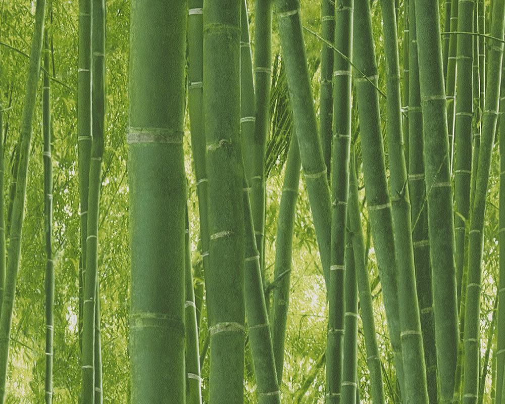 Wallpaper Bamboo Forest Floral Nature Green 9387 18