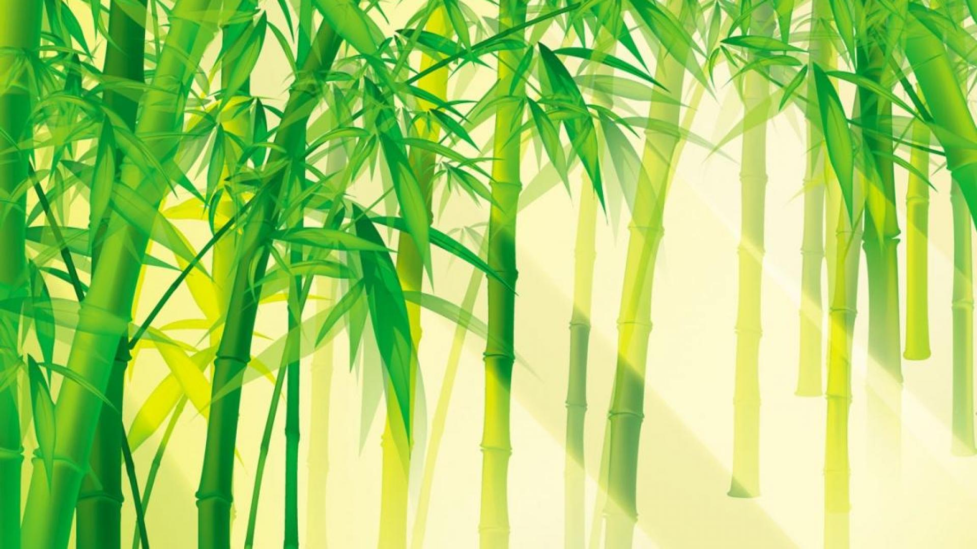Download Free Bamboo Forest Background