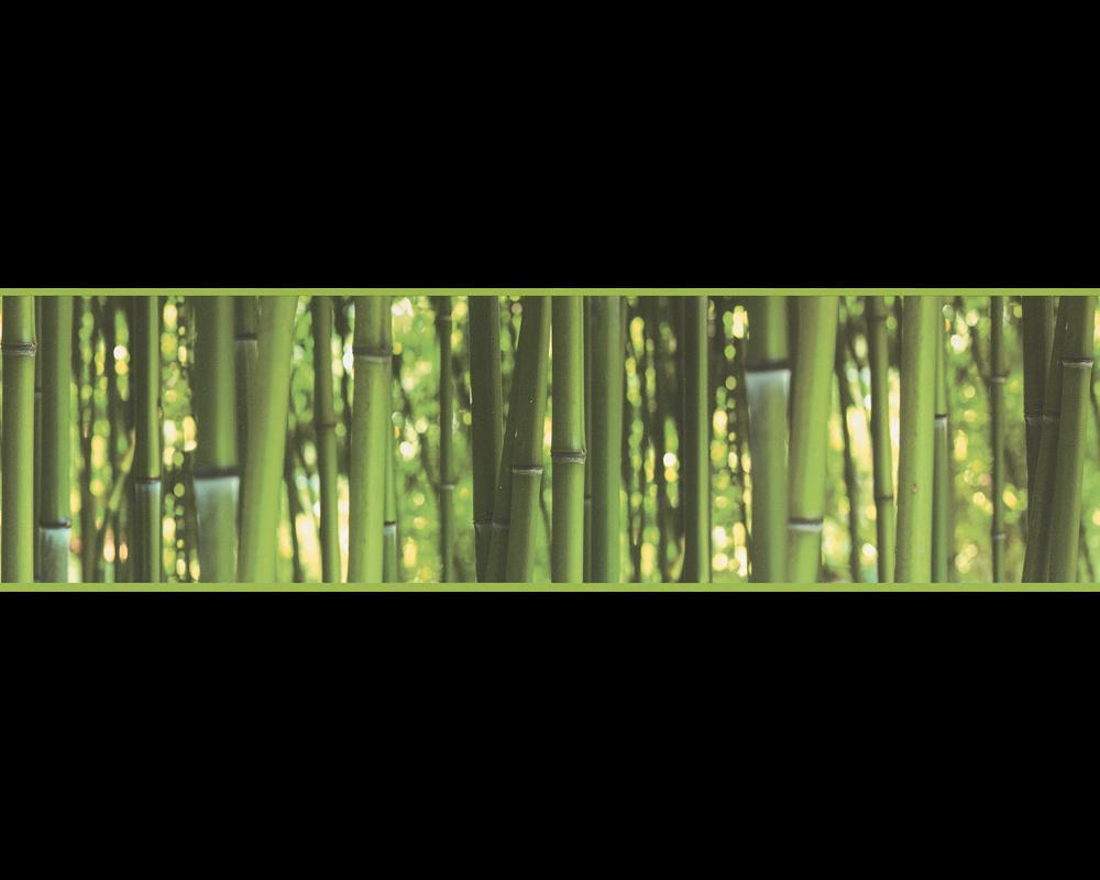 Lime Green Bamboo Tree Forest Wallpaper Border. Vinyl