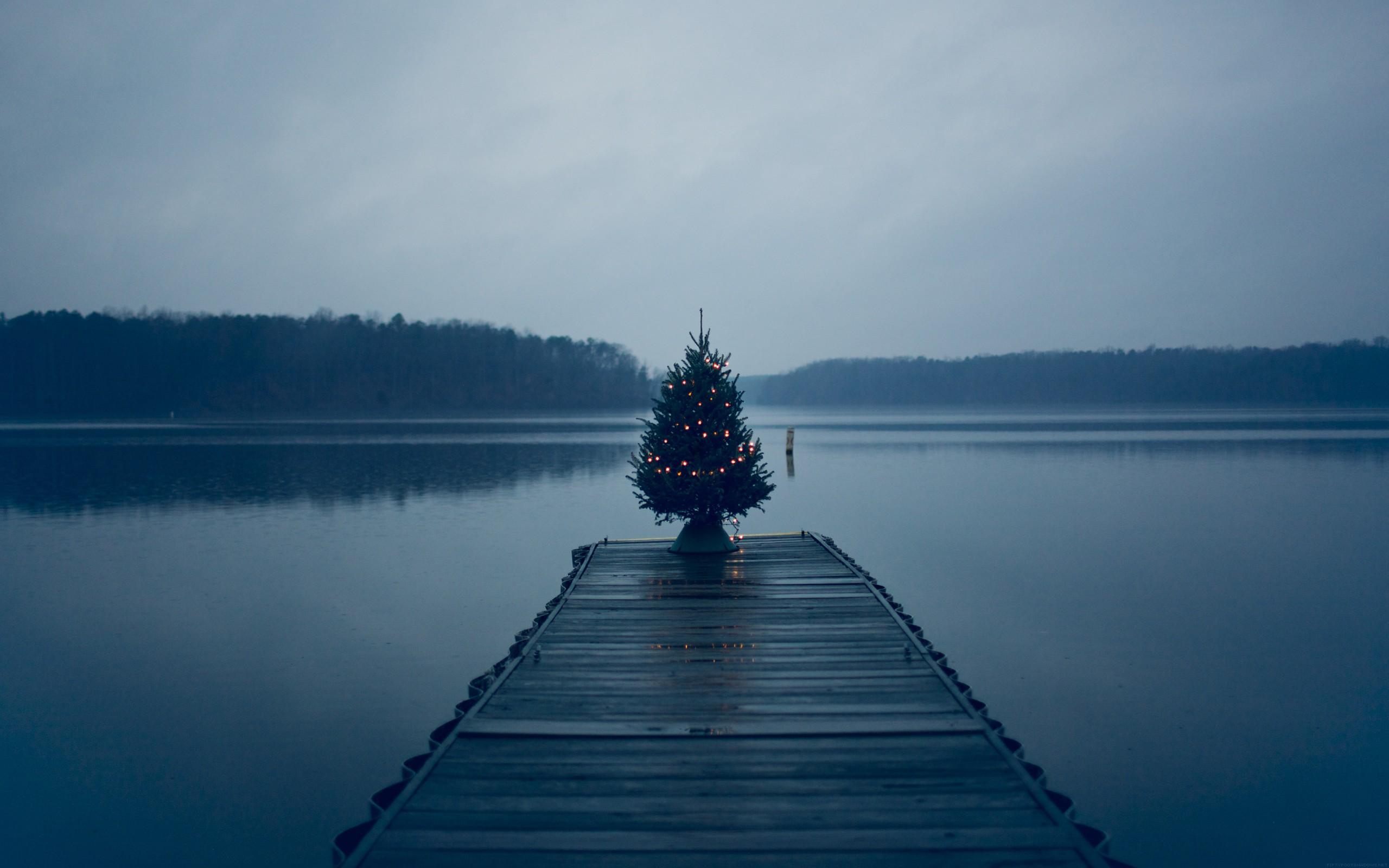 abstract, nature, trees, dark, dock, fog, lakes, christmas