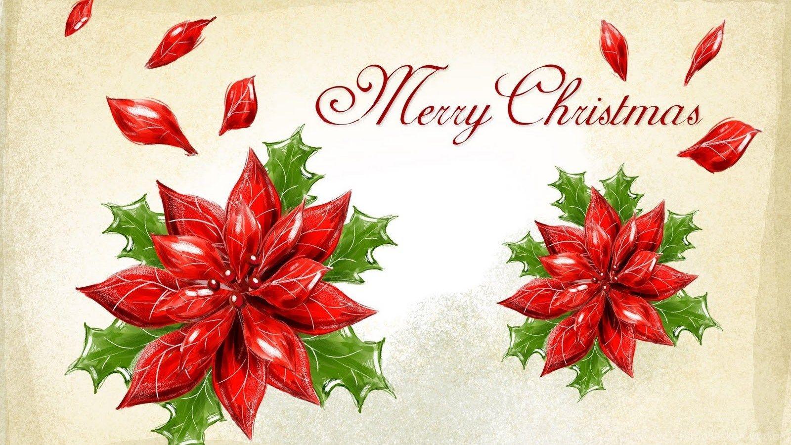 Christmas Poinsettia Wallpaper Free Christmas