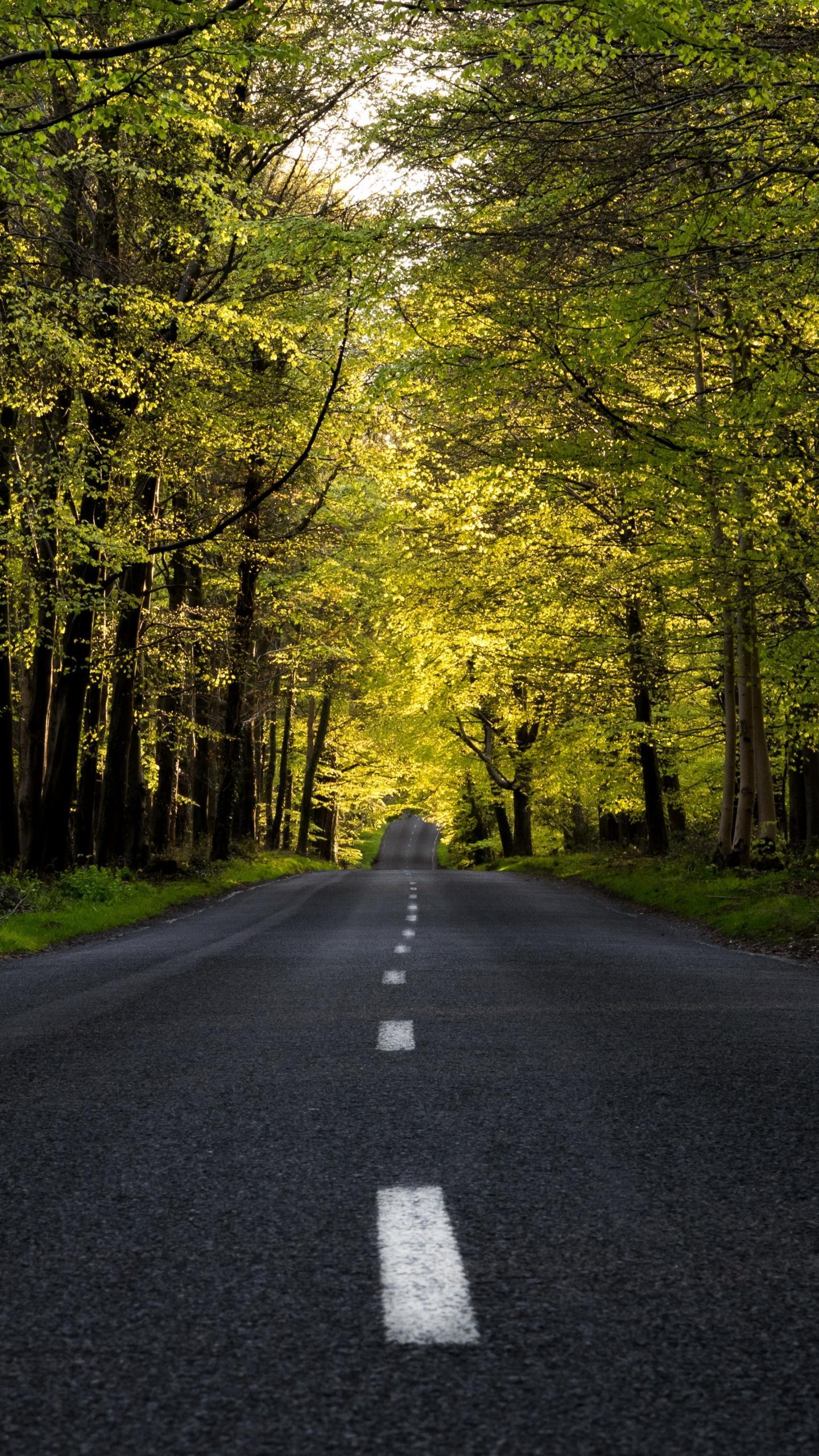 Man Made Road (1440x2560) Wallpaper