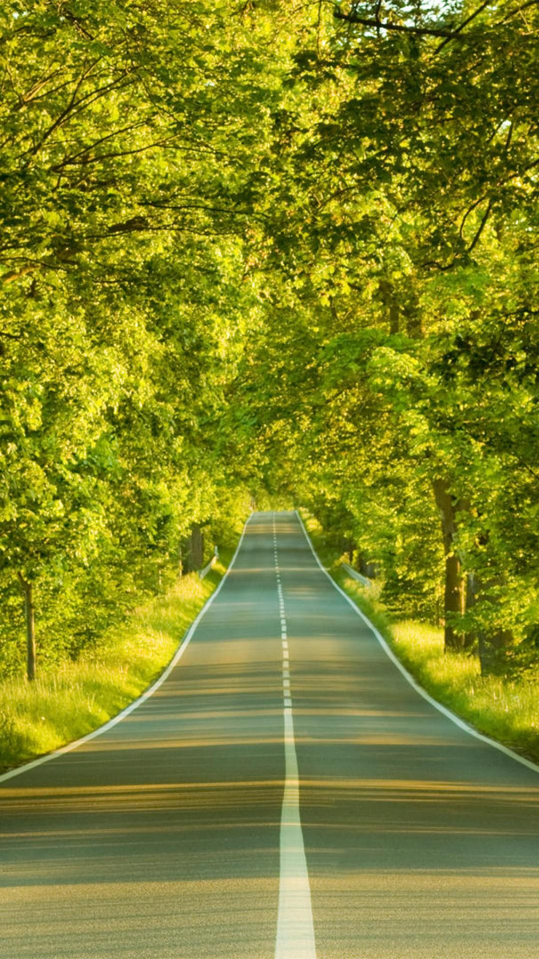 Clear Road Nature iPhone 6 / 6S Plus Wallpaper