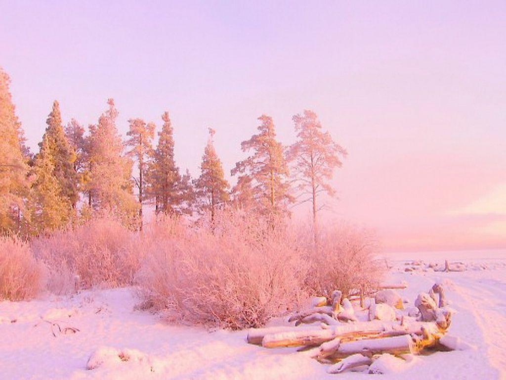 Loading. Winter wallpaper, Landscape wallpaper, Pink and gold wallpaper