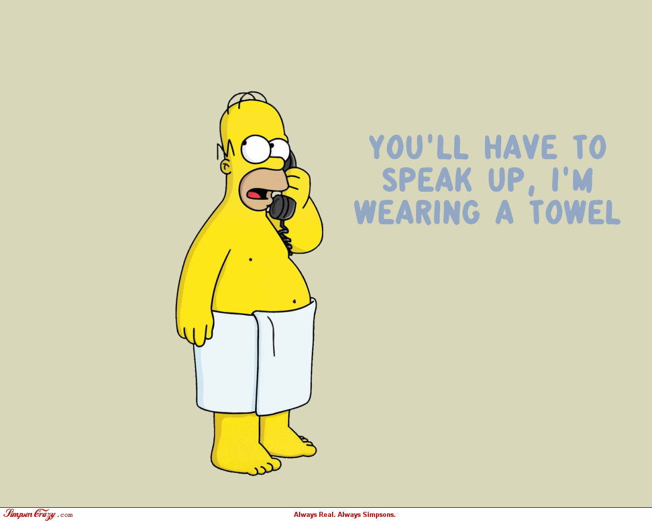 Free download The Simpsons wallpaper Simpsons Crazy