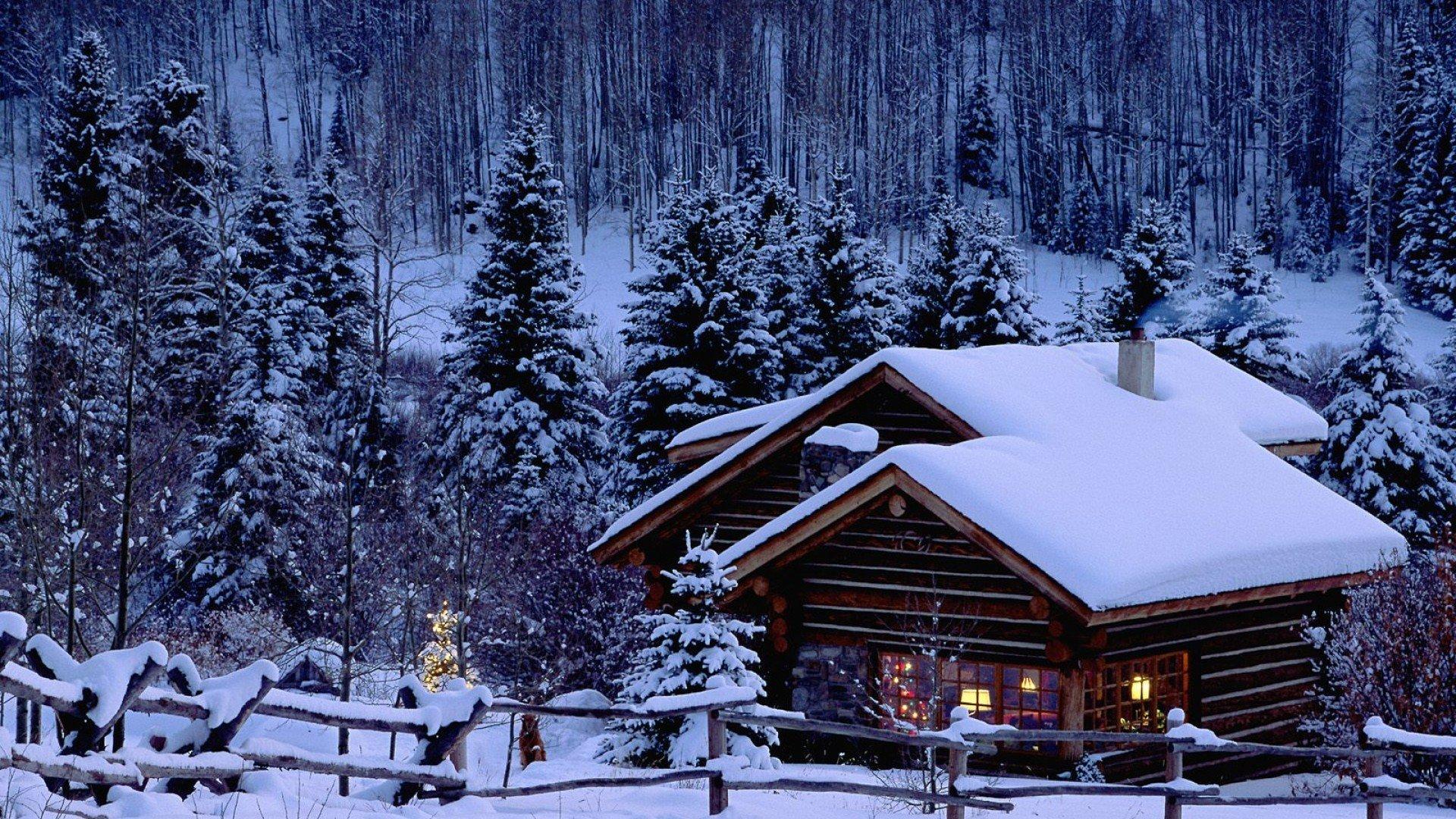 Christmas, Snow, Pine trees, Cabin HD Wallpapers / Desktop and Mobile Image & Photos