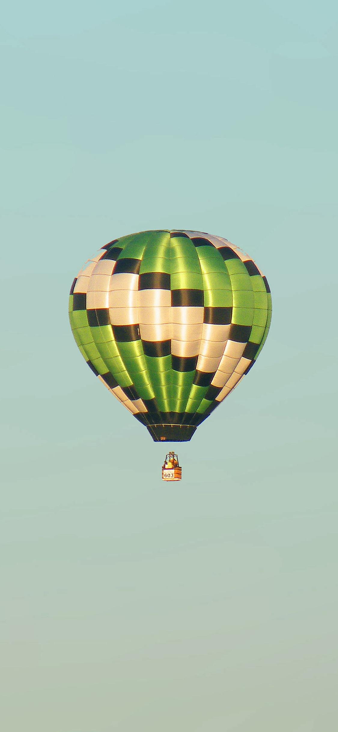 Fly Green Home Balloon iPhone X Wallpaper Free Download