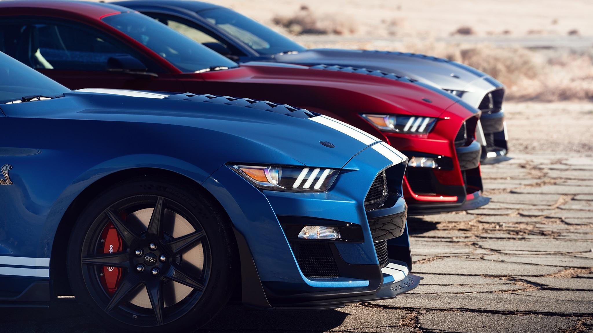 Ford Mustang Shelby GT350 vs. GT500: Which Is