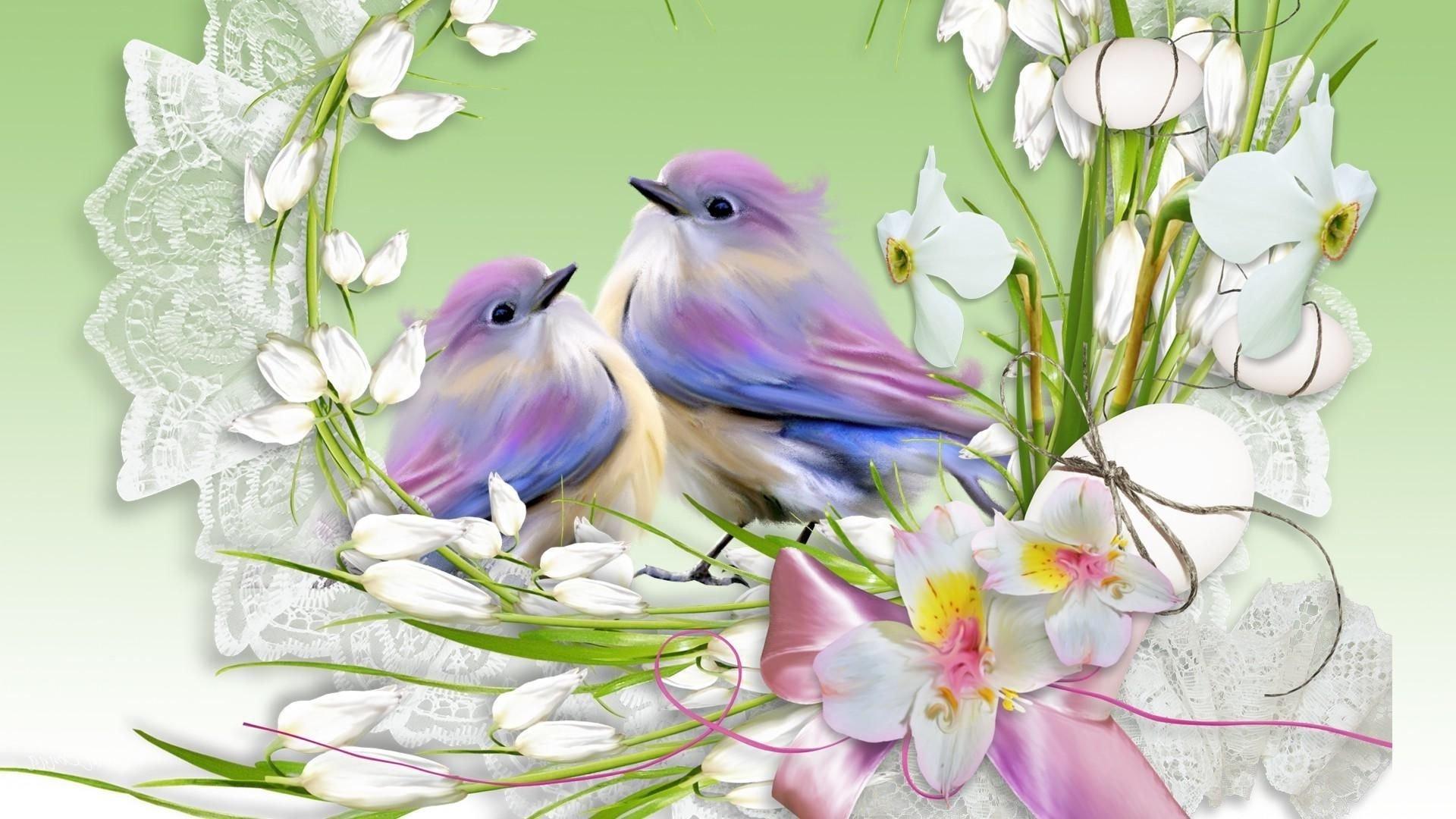 Pretty Birds in Nest HD Wallpaper. Background Image