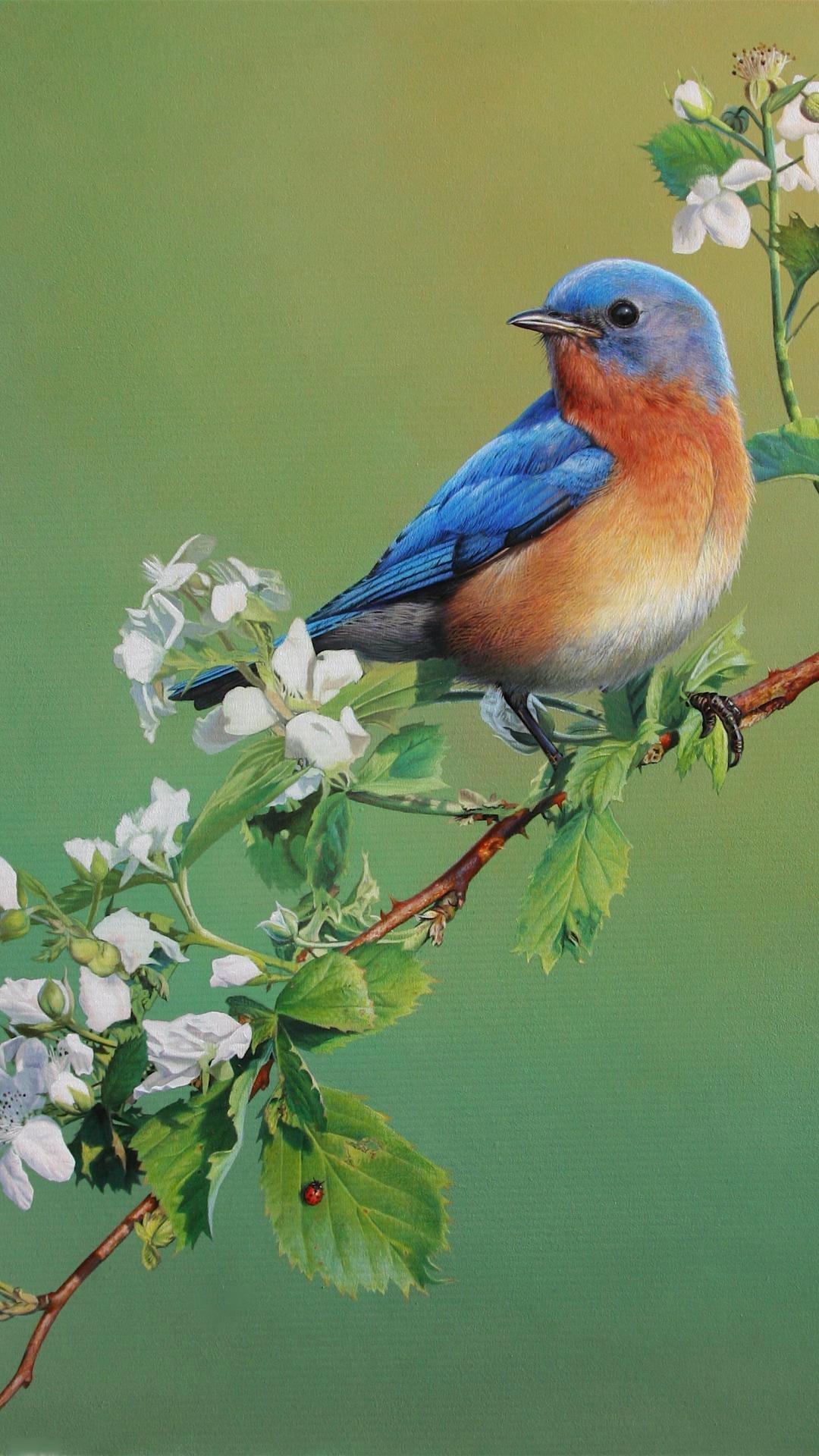 Blue Bird Wallpaper