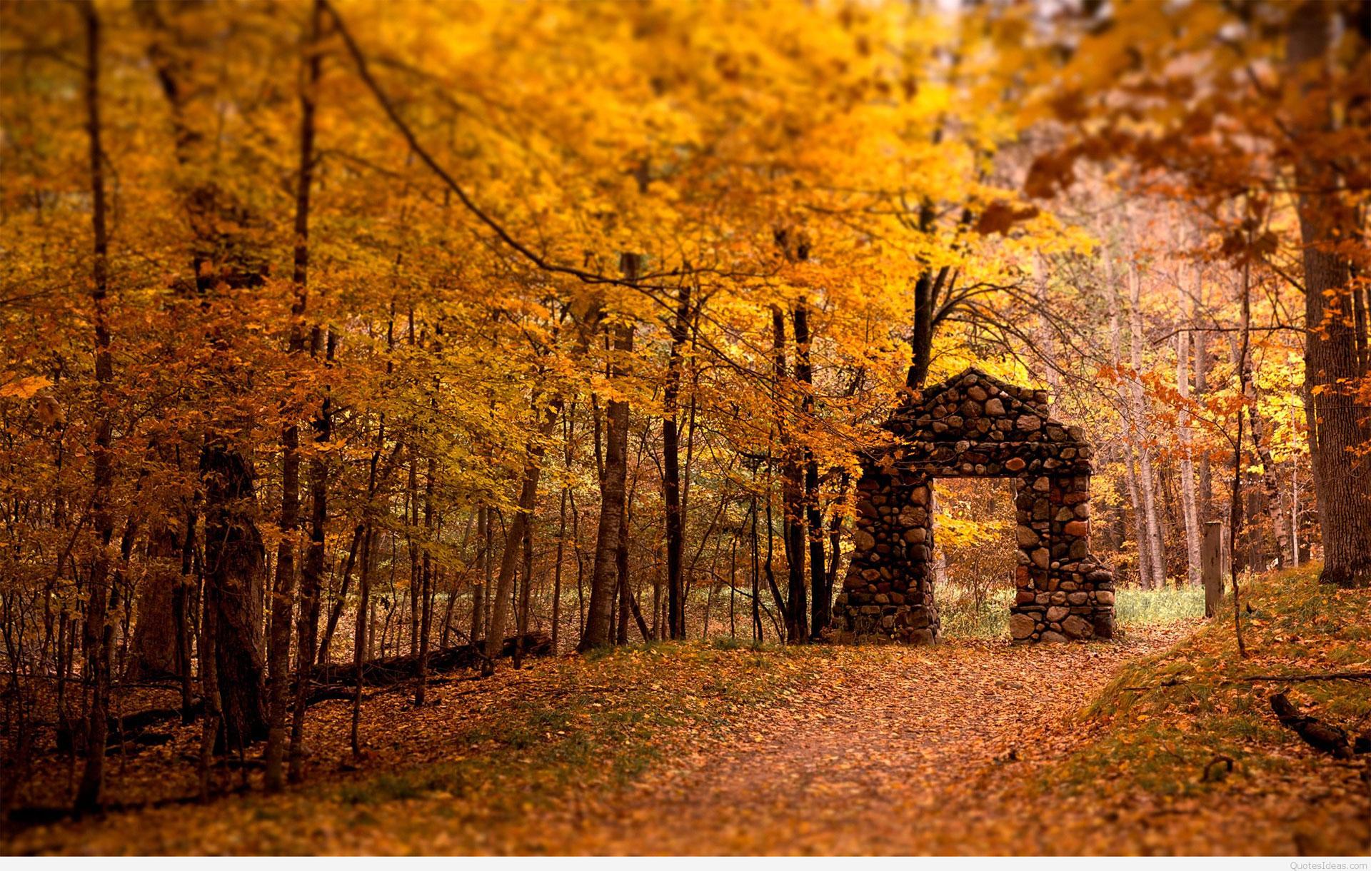 Autumn Wallpaper Examples for Your Desktop Background