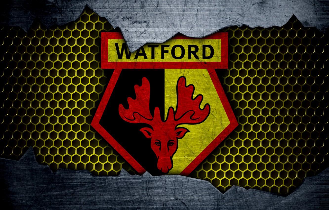 Wallpaper wallpaper, sport, logo, football, Watford image