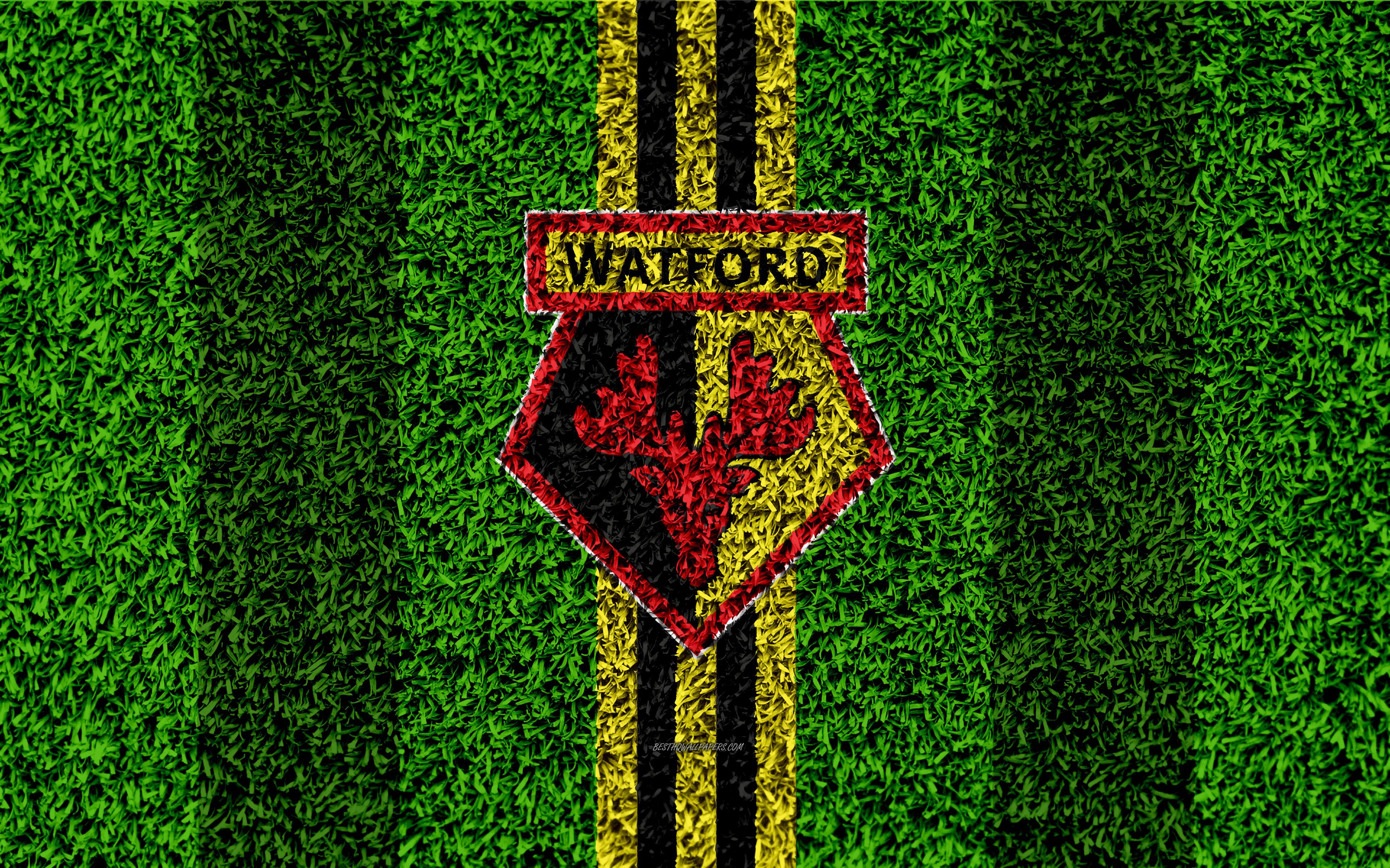 Download wallpaper Watford FC, 4k, football lawn, emblem