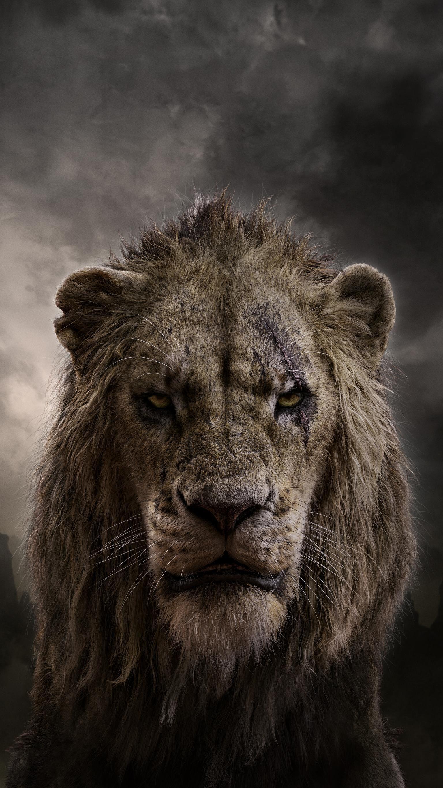 The Lion King Phone Wallpaper