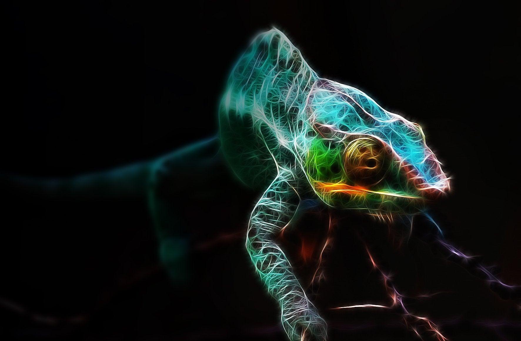 A fractal panther chameleon. [772 x 160]
