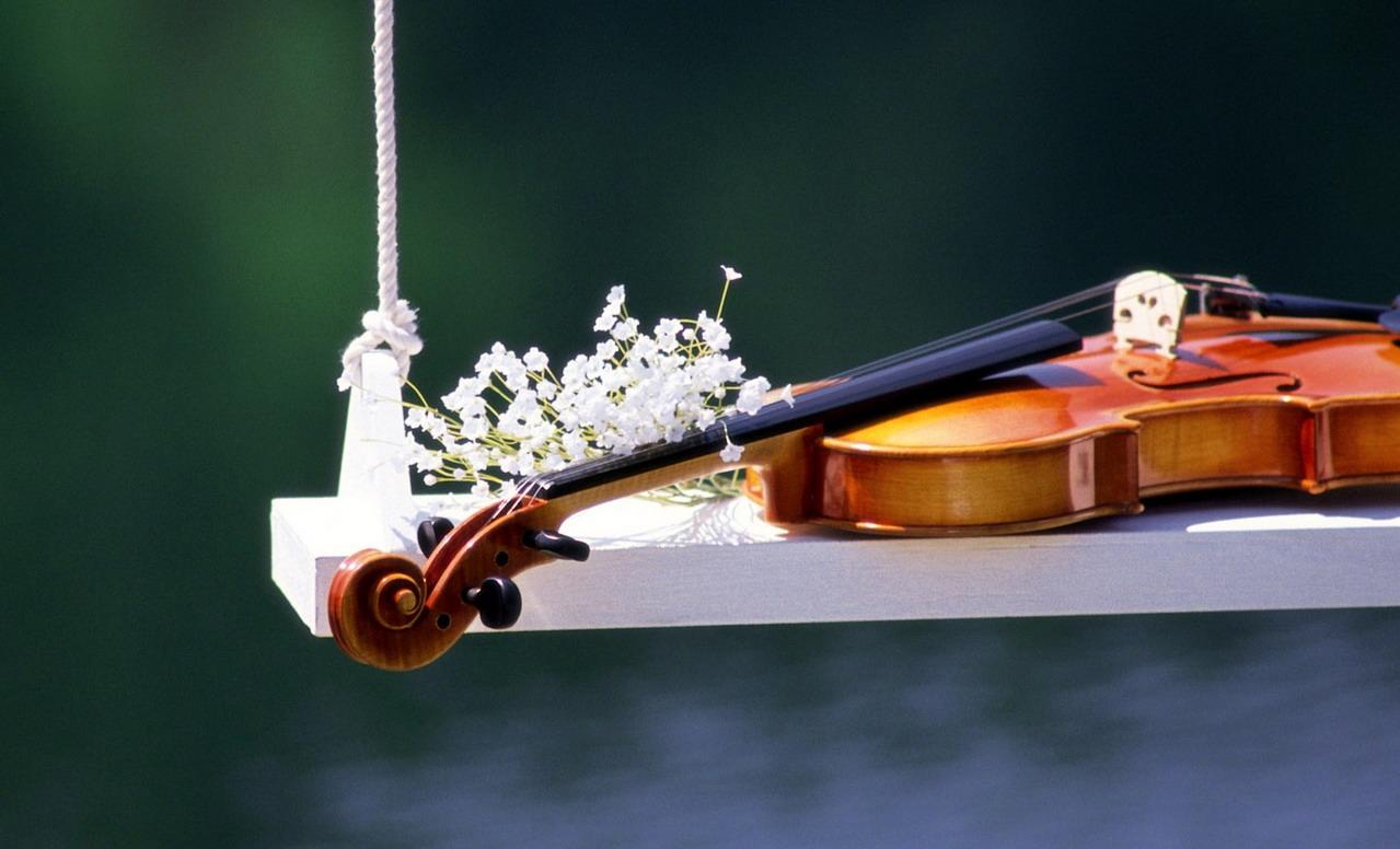Photos Violin Musical Instruments
