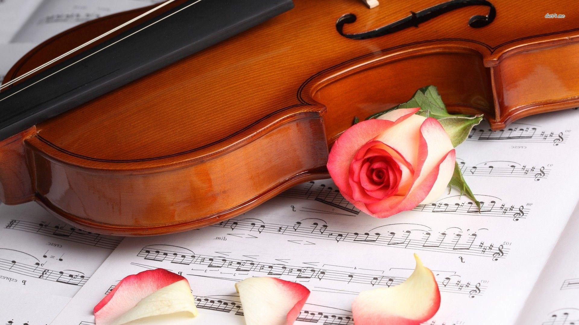 Violin Photography Wallpapers - Wallpaper Cave