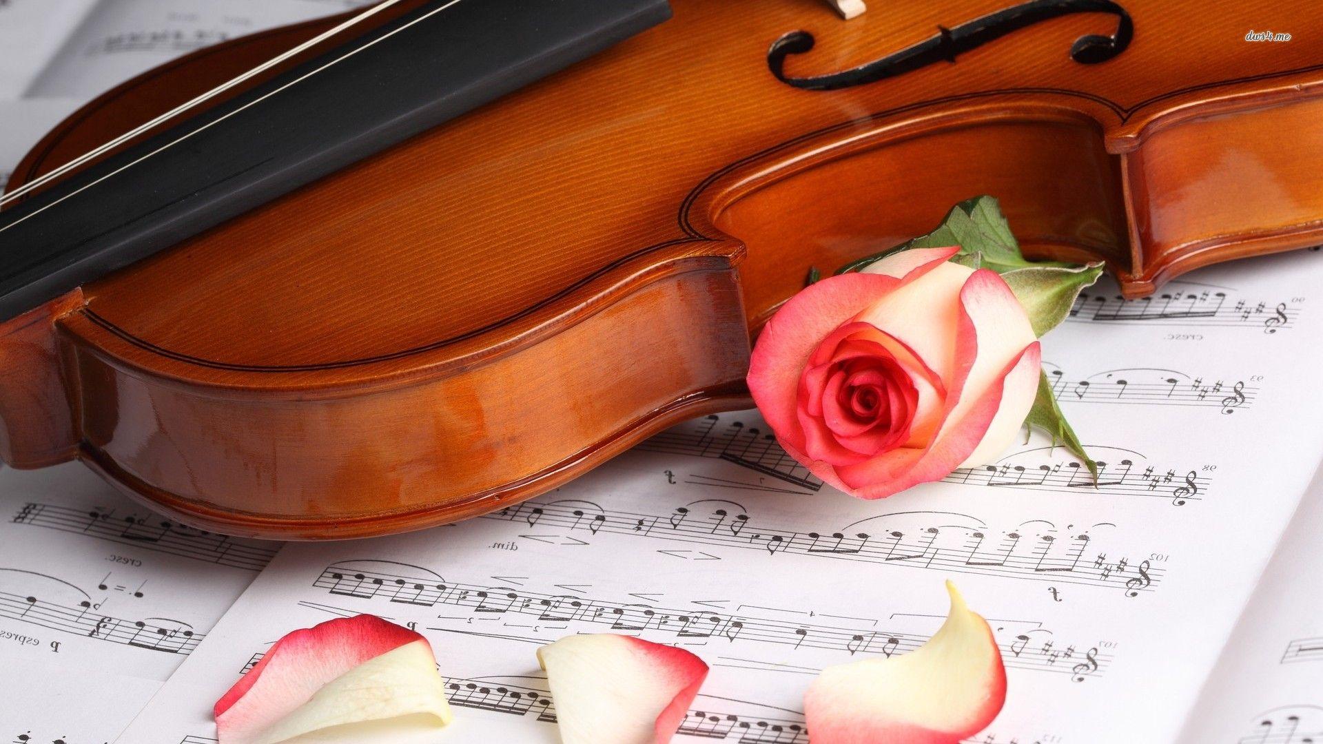 Violin Photography Wallpapers Wallpaper Cave